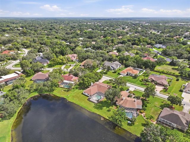 4311 RIVER BIRCH DRIVE, Spring Hill, FL 34607
