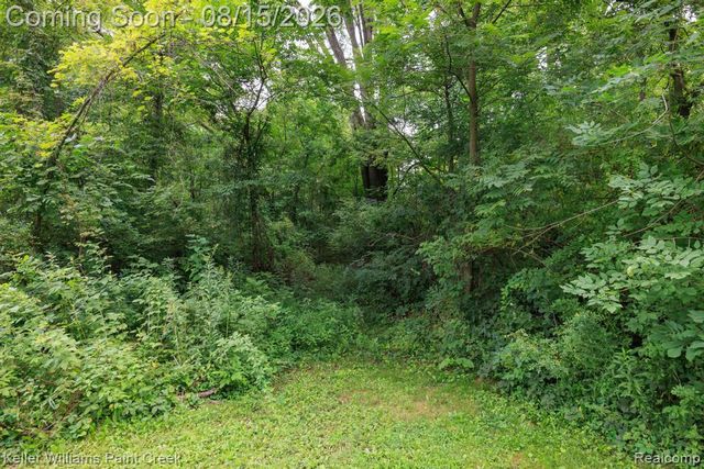 1206 Cove Road, Wales Township, MI 48027