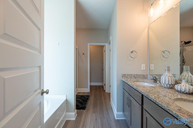 106 Elaina Grey Court, New Market, AL 35761