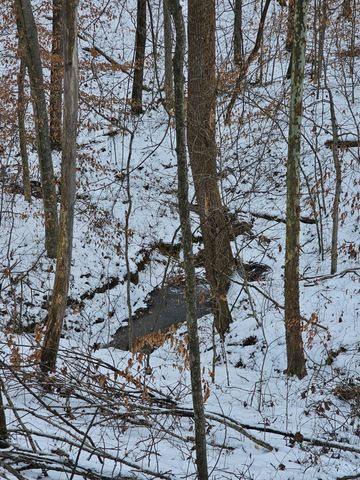 1064 Frontage Road, Russell Springs, KY 42642