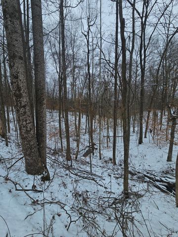 1064 Frontage Road, Russell Springs, KY 42642