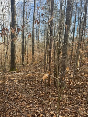 1064 Frontage Road, Russell Springs, KY 42642