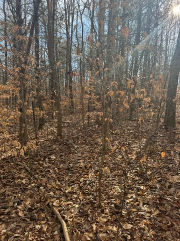 1064 Frontage Road, Russell Springs, KY 42642