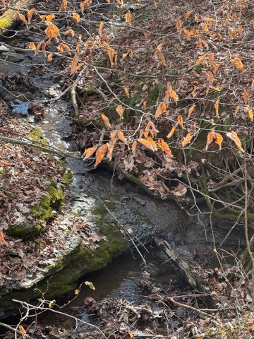 1064 Frontage Road, Russell Springs, KY 42642