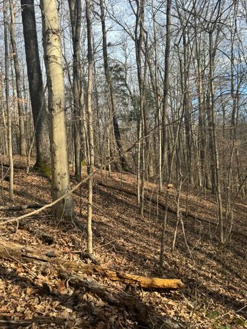 1064 Frontage Road, Russell Springs, KY 42642