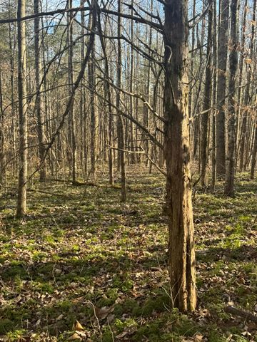 1064 Frontage Road, Russell Springs, KY 42642