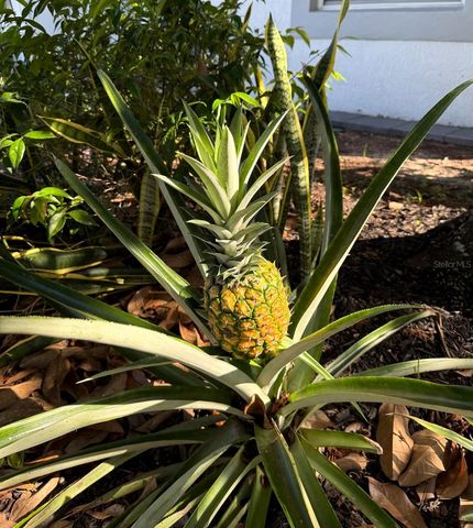 2943 PADDINGTON WAY, Kissimmee, FL 34747