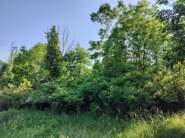 VL 56th Street, Fennville, MI 49408