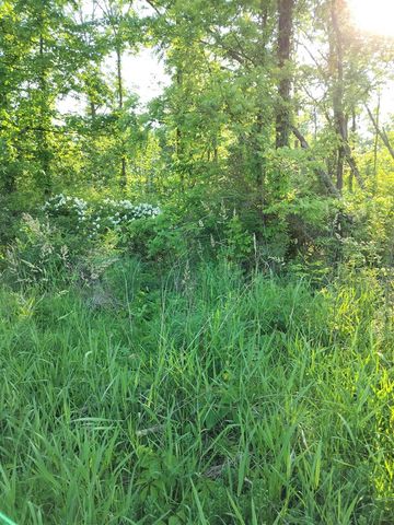 VL 56th Street, Fennville, MI 49408