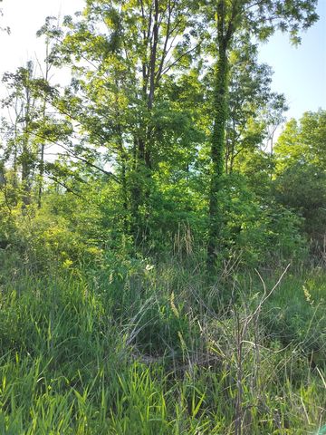 VL 56th Street, Fennville, MI 49408