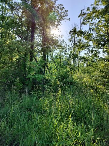 VL 56th Street, Fennville, MI 49408