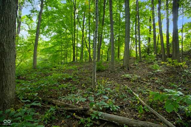 13562 Creekridge Lane, Fishers, IN 46055