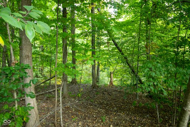 13562 Creekridge Lane, Fishers, IN 46055