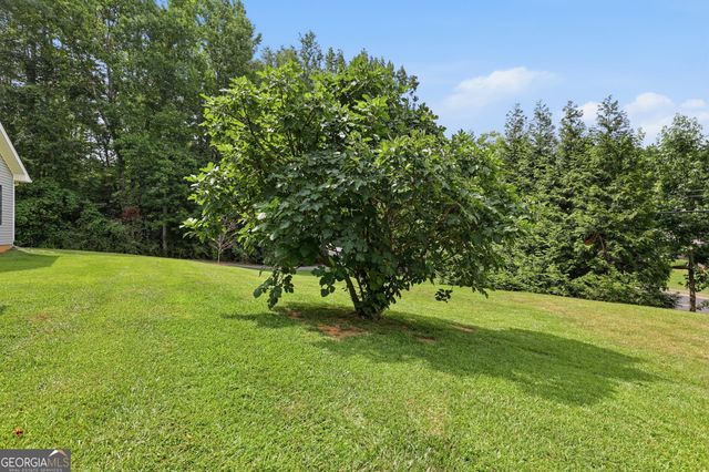 980 Falls Road, Toccoa, GA 30577