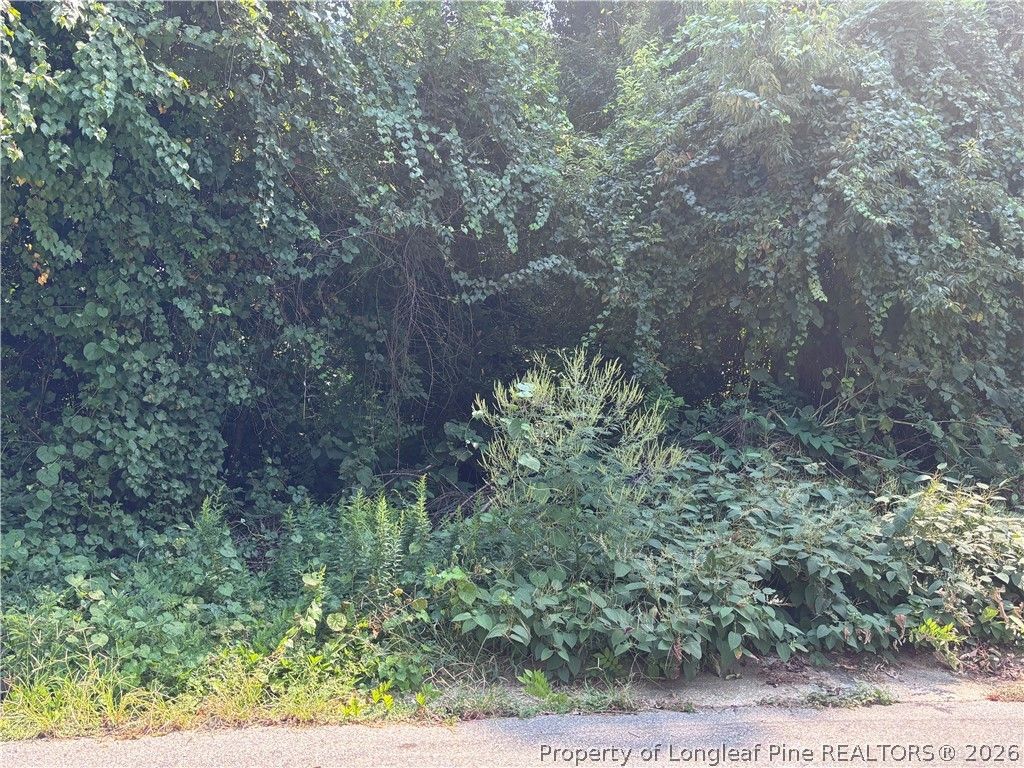 421 Preston Avenue, Fayetteville, NC 28301 — exterior