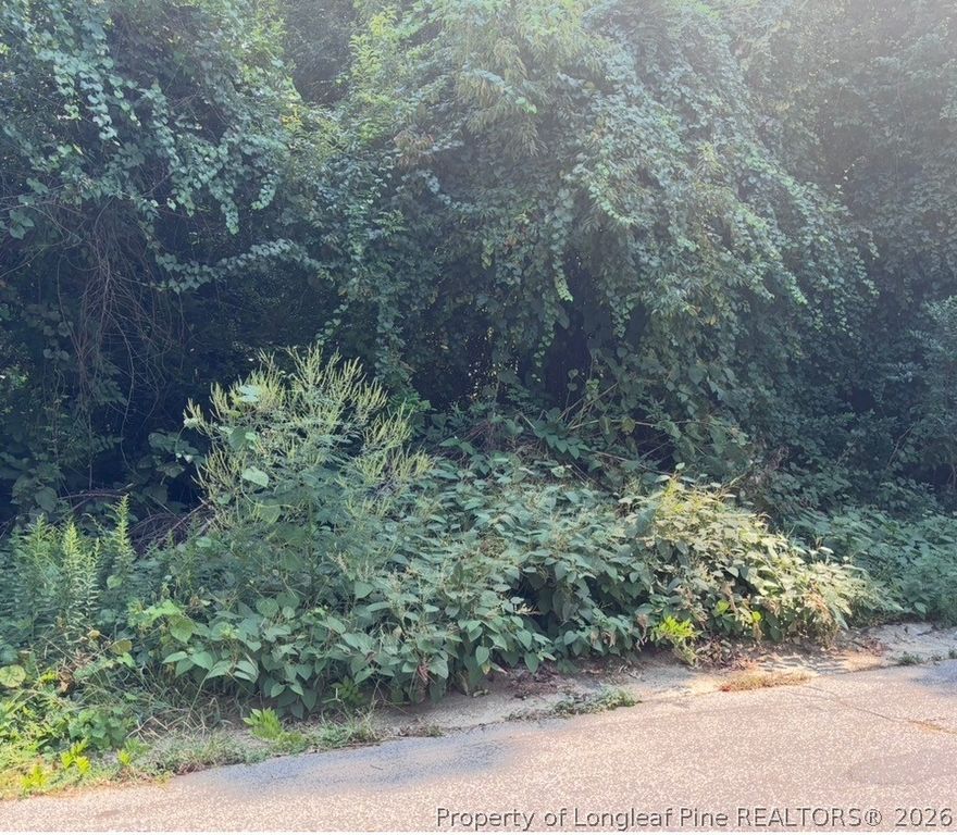 421 Preston Avenue, Fayetteville, NC 28301 — photo 2