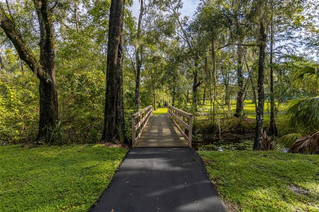 11508 ROBLES DEL RIO PLACE, Temple Terrace, FL 33617