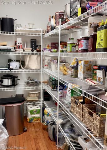 1267 Woodland Springs Drive, Genoa Township, MI 48843