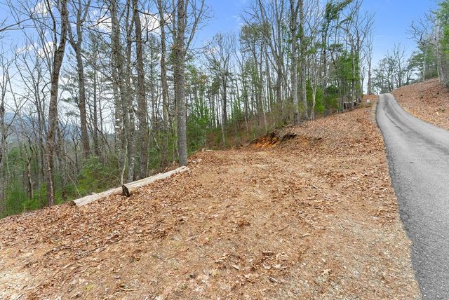 279 Cindy Cove Road, Blairsville, GA 30512