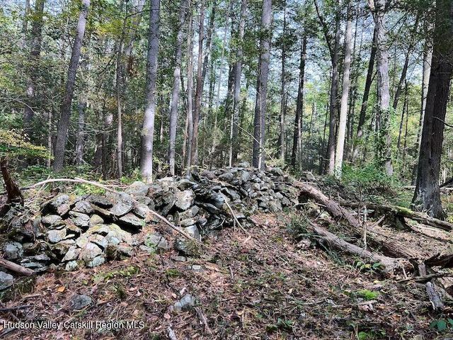 Tbd Whiteport Rd, Kingston, NY 12401