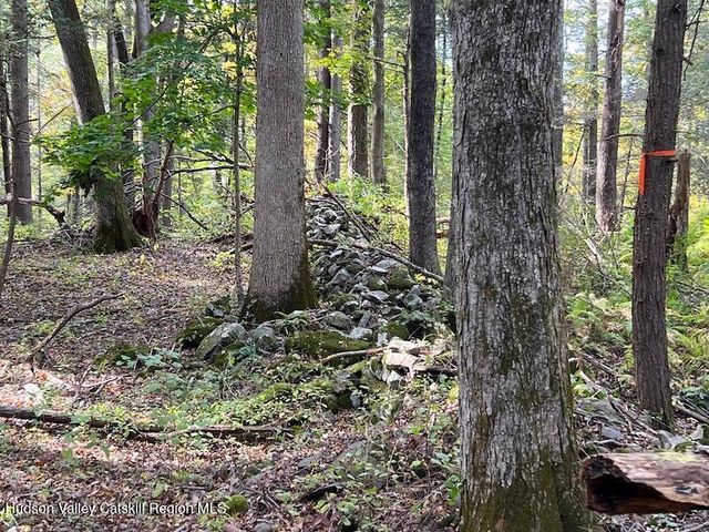 Tbd Whiteport Rd, Kingston, NY 12401