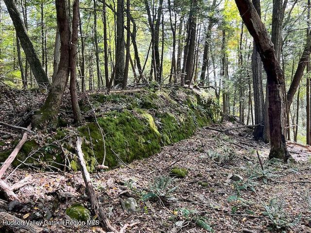 Tbd Whiteport Rd, Kingston, NY 12401