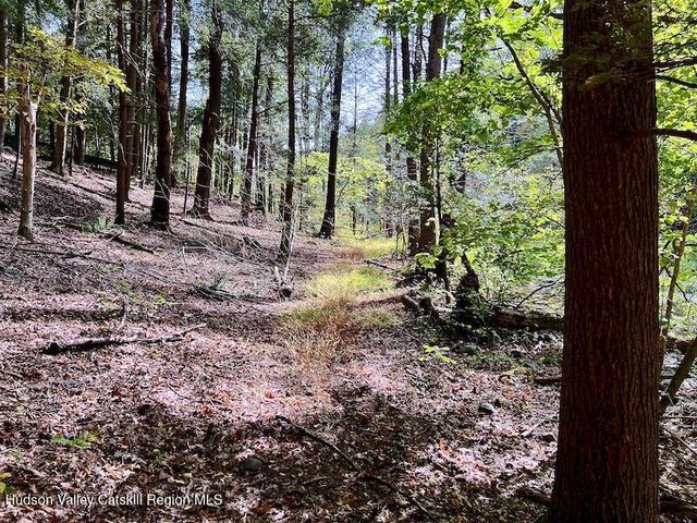 Tbd Whiteport Rd, Kingston, NY 12401