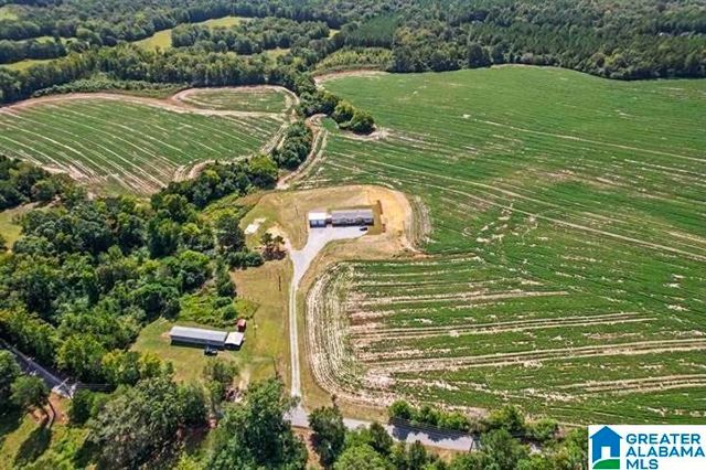 310 BROOKS LAKE ROAD, Lincoln, AL 35096