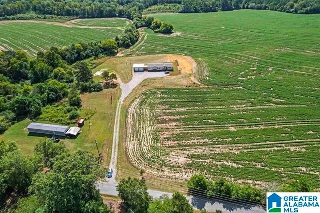 310 BROOKS LAKE ROAD, Lincoln, AL 35096