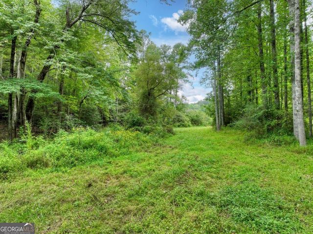 34.56 AC Weaver Creek Road, Blue Ridge, GA 30513