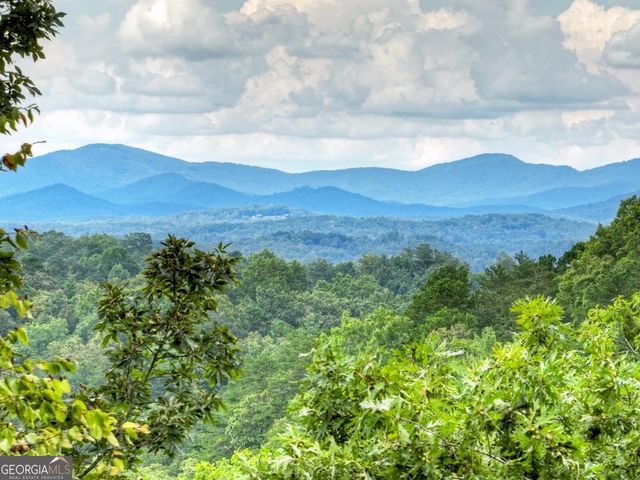 34.56 AC Weaver Creek Road, Blue Ridge, GA 30513