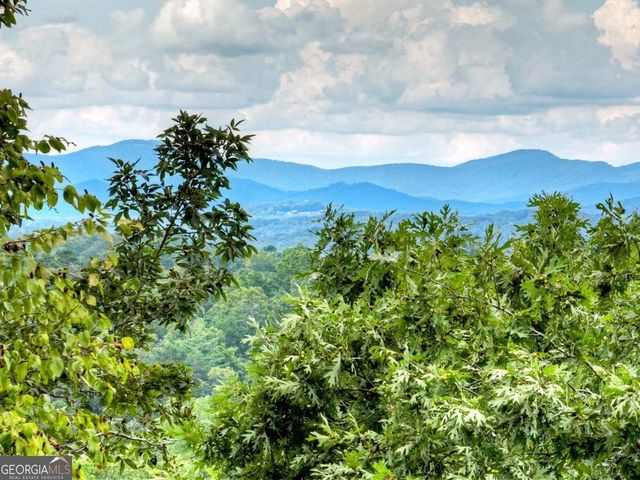34.56 AC Weaver Creek Road, Blue Ridge, GA 30513
