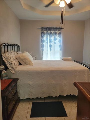 313 Crisantema Street, Sullivan City, TX 78595