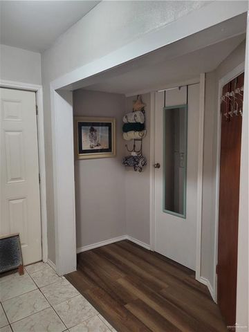 313 Crisantema Street, Sullivan City, TX 78595
