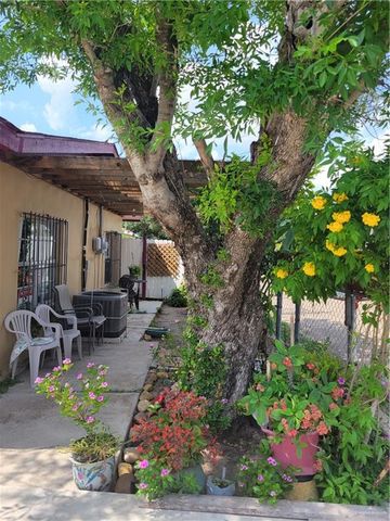 313 Crisantema Street, Sullivan City, TX 78595