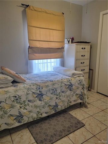 313 Crisantema Street, Sullivan City, TX 78595