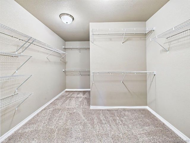 10797 Hidden Prairie Pkwy, Fountain, CO 80817