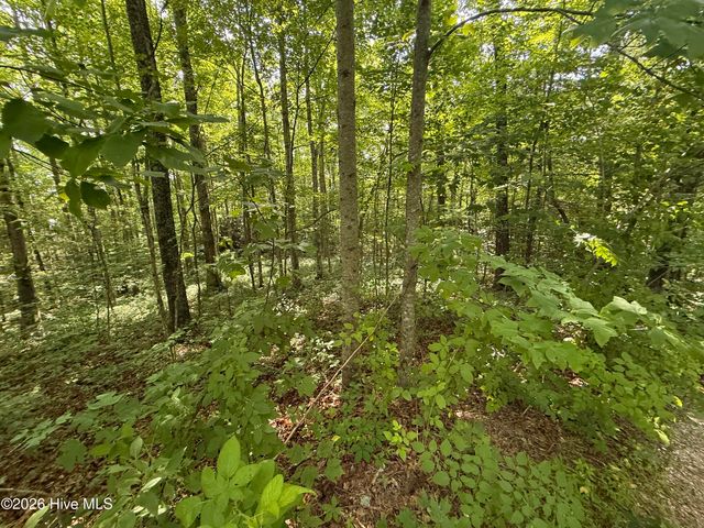 135 Oakview Road, Farner, TN 37333