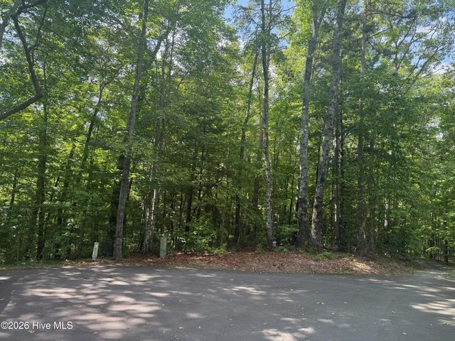 135 Oakview Road, Farner, TN 37333