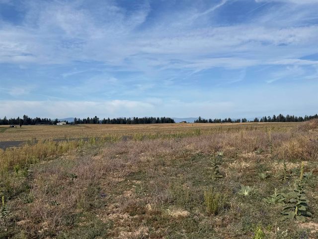 25XXX N Orchard Bluff Rd, Chattaroy, WA 99003
