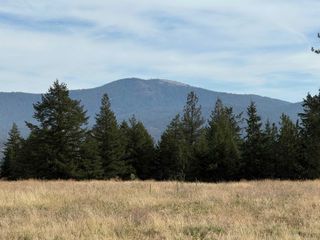 25XXX N Orchard Bluff Rd, Chattaroy, WA 99003
