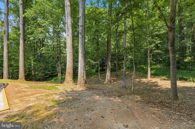 9200 RIPPLE BROOK RD, Great Falls, VA 22066