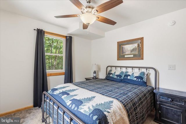 8315 SUPINLICK RIDGE RD, Mt Jackson, VA 22842