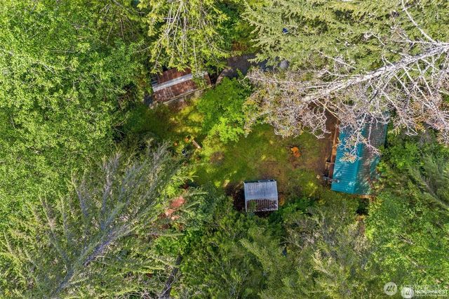 137 Paradise Drive, Ashford, WA 98304