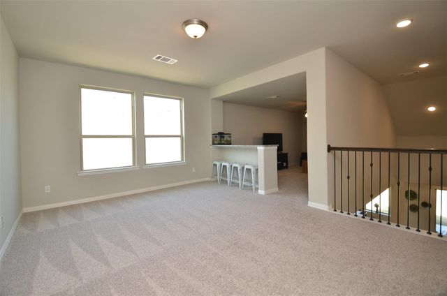 1314 Malea Daisy Lane, Richmond, TX 77406