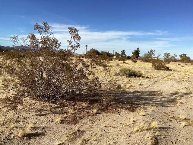 42979 Mandril, Newberry Springs, CA 92365
