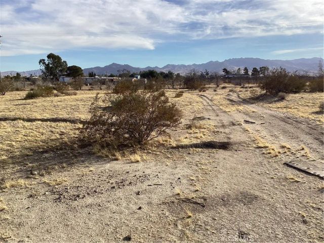 42979 Mandril, Newberry Springs, CA 92365