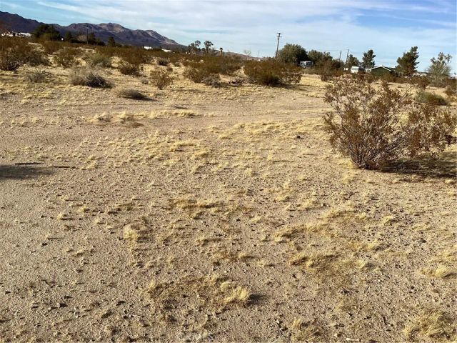 42979 Mandril, Newberry Springs, CA 92365