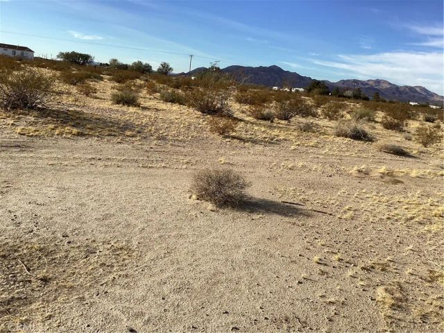 42979 Mandril, Newberry Springs, CA 92365
