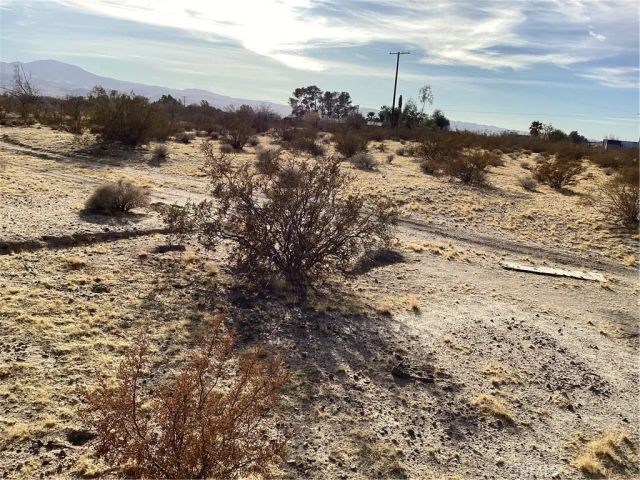 42979 Mandril, Newberry Springs, CA 92365
